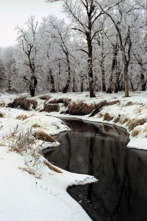 Frosted Brook.jpg